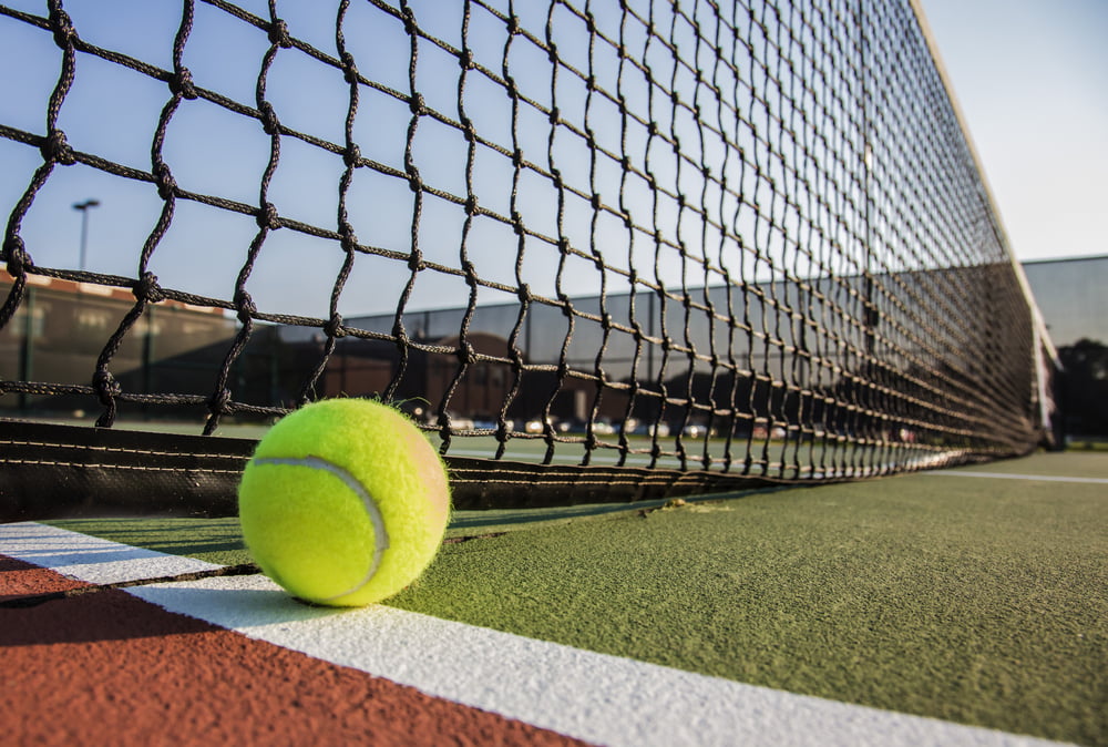 Tennis Court Net